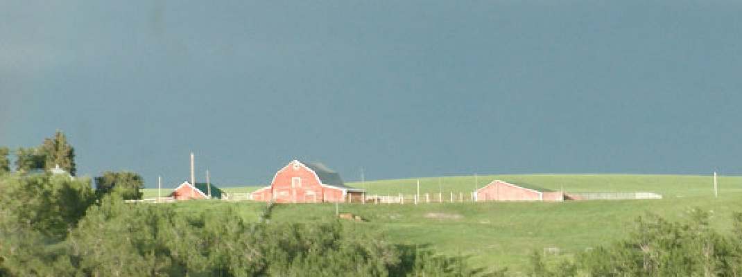 Alberta Farm Land