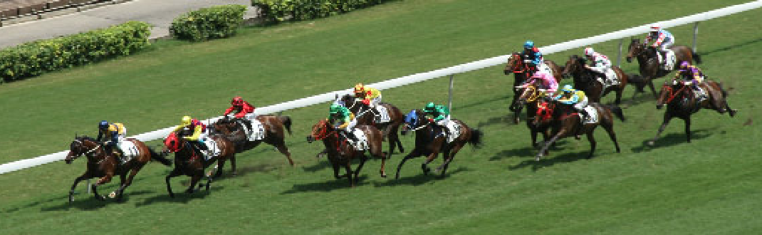 Racetrack in Shatin