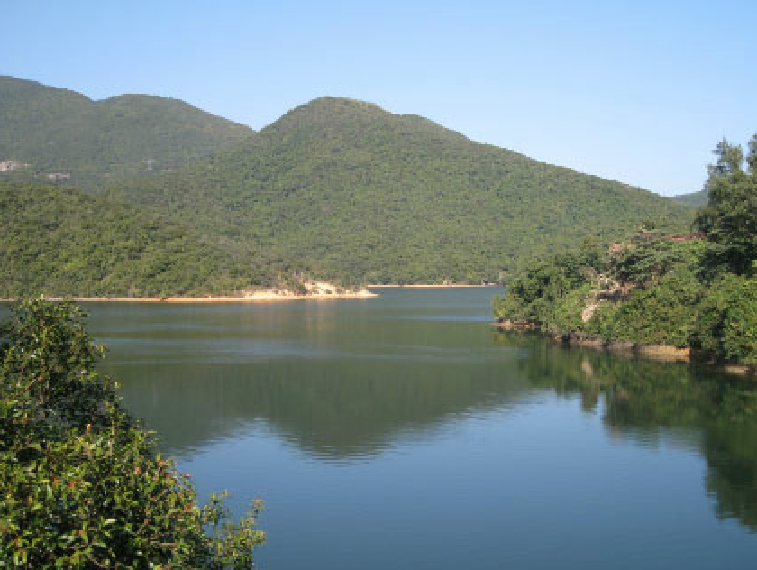 Tai Tam