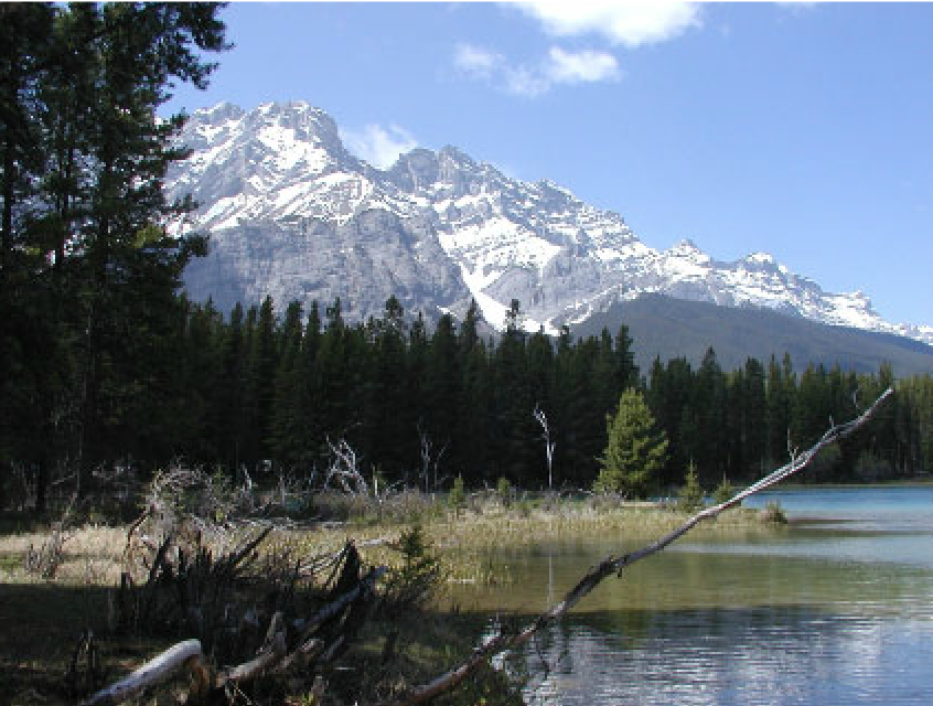 Two Jack Lake